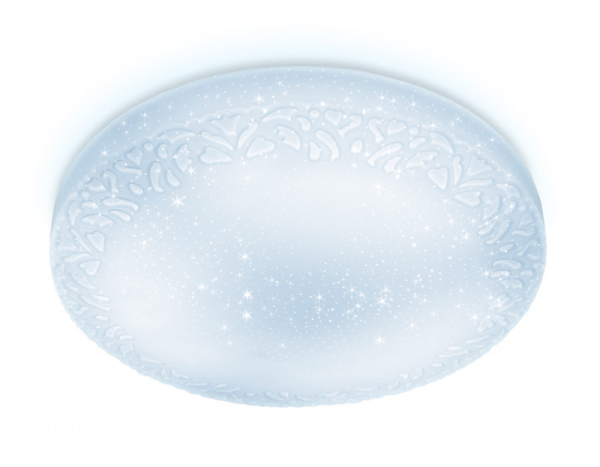 Накладной светильник Ambrella Light FF21