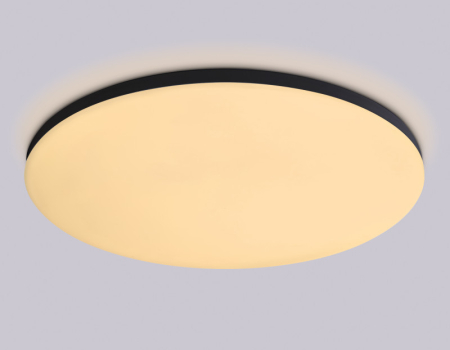 Накладной светильник Ambrella Light FZ2006