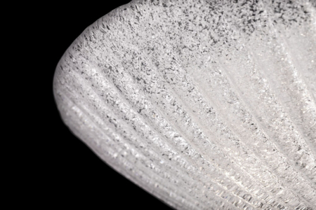 Накладной светильник Maytoni C809CL-04CH