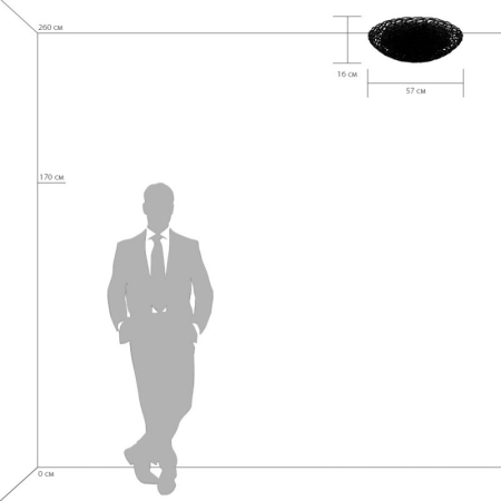 Накладной светильник Lightstar 603100