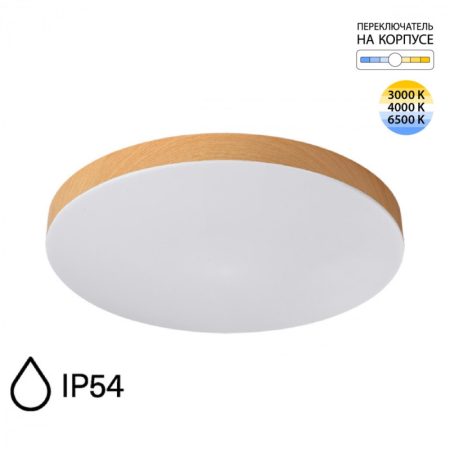 Накладной светильник Sonex 7761/50L