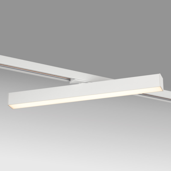 Светильник на шине Lightstar 202136