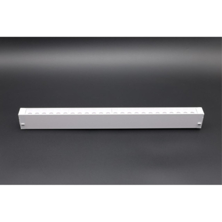 Светильник на шине APLOYT APL.0200.10.18