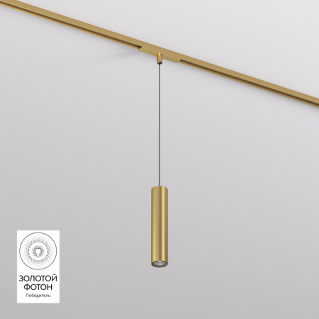 Светильник на шине Denkirs DK5744-SB