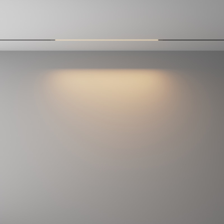 Светильник на шине Maytoni Technical TR240-2-12W3K-B