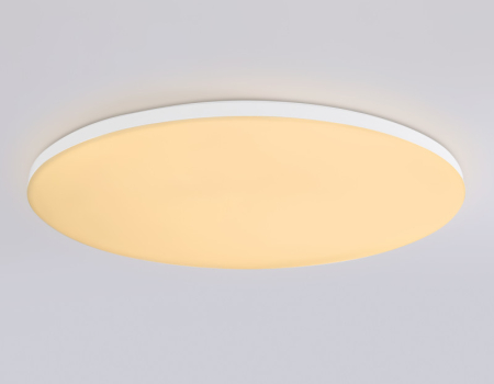 Накладной светильник Ambrella Light FZ2003