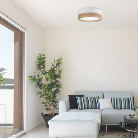 Накладной светильник TK Lighting 6577