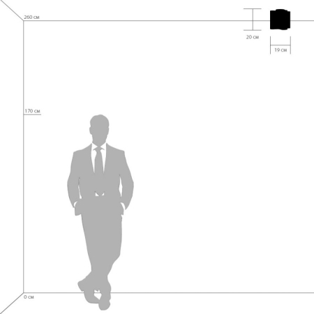 Накладной светильник Lightstar 802010