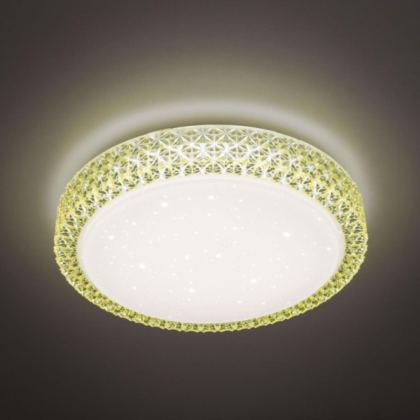 Накладной светильник Citilux CL705022