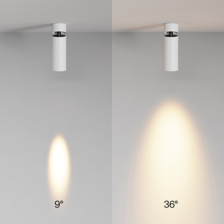 Спот Maytoni Technical C055CL-L12W2.7K-SS-W