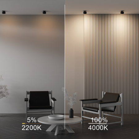 Встраиваемый светильник Maytoni Technical DL024-12W-DTW-B