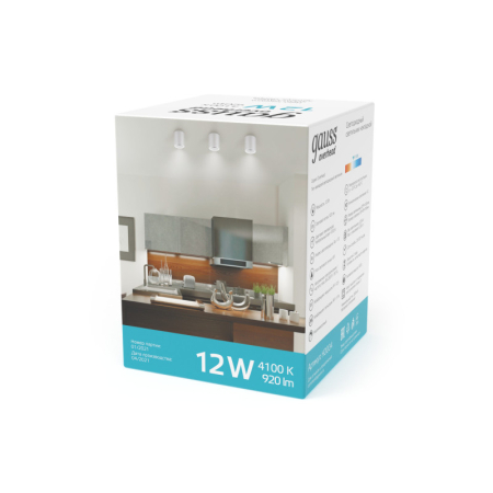 Накладной светильник Gauss HD011