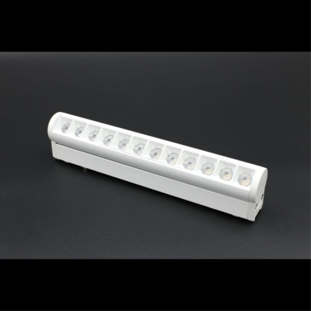 Светильник на шине APLOYT APL.0102.11.12