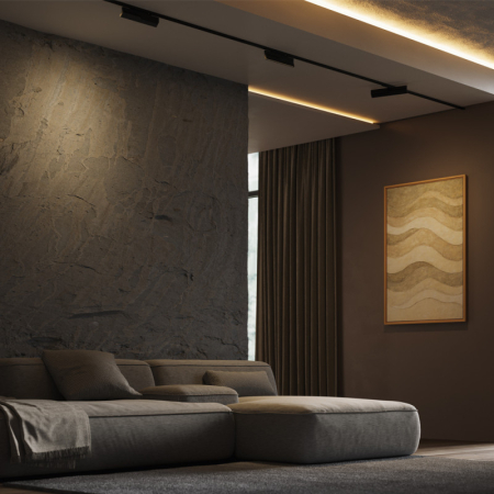 Светильник на шине Maytoni Technical TR242-2-12W3K-B