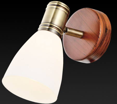 Спот TOPLIGHT TL3720Y-01BB