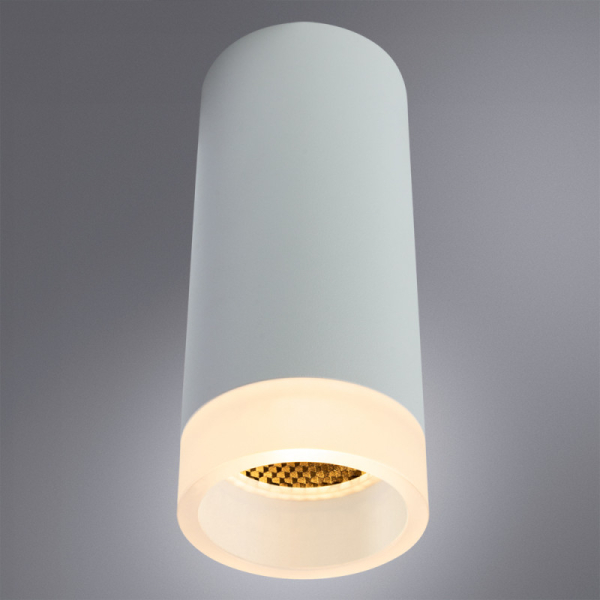 Накладной светильник ARTE Lamp A5556PL-1WH