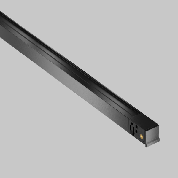 Светильник на шине Maytoni Technical TR240-2-12W3K-B