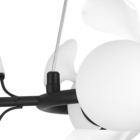 Подвесная люстра Lightstar 799067