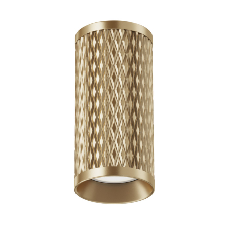 Накладной светильник Maytoni Technical C036CL-01G