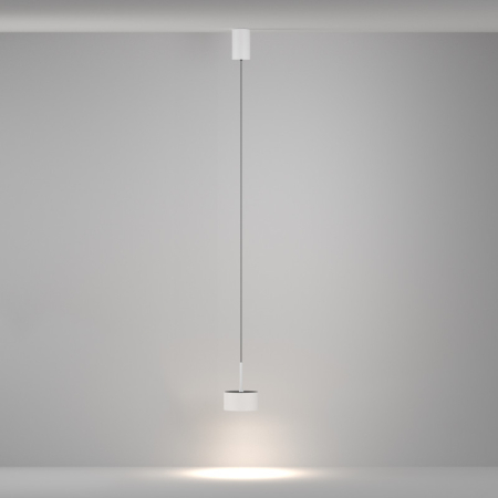 Подвесной светильник Maytoni Technical P102PL-12W4K-W