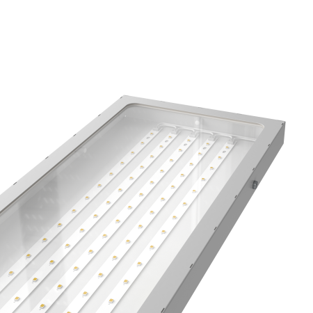 Titan Standart 500x180x30 50Вт 5000К IP66 Прозрачное закаленное стекло