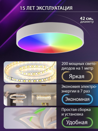 Накладной светильник Natali Kovaltseva LED LAMPS 81105/1C
