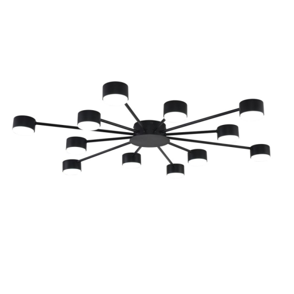 Накладная люстра LUMION 8344/12C