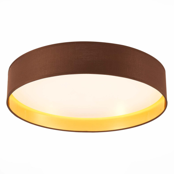 Накладной светильник Evoluce SLE300592-01