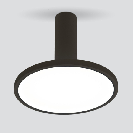 Накладной светильник Elektrostandard DLS029 12W 4200K черный матовый