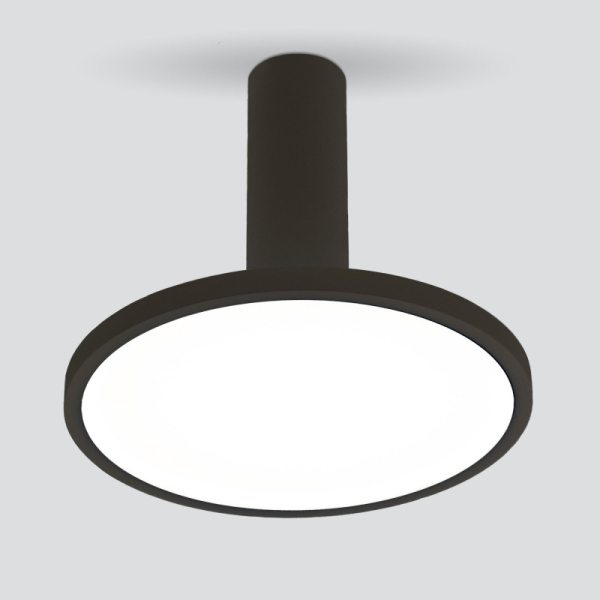 Накладной светильник Elektrostandard DLS029 12W 4200K черный матовый