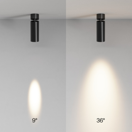 Спот Maytoni Technical C055CL-L12W2.7K-SS-B