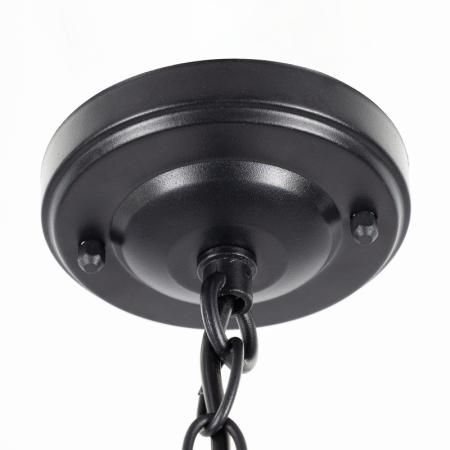 Подвесной уличный светильник Citilux CLU09S