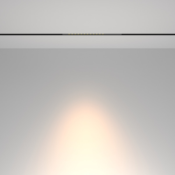 Светильник на шине Maytoni Technical TR232-2-10W3K-B