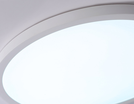 Накладной светильник Ambrella Light FZ1959