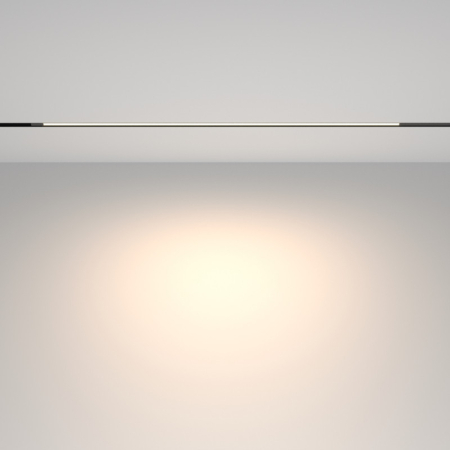 Светильник на шине Maytoni Technical TR231-2-15W4K-B