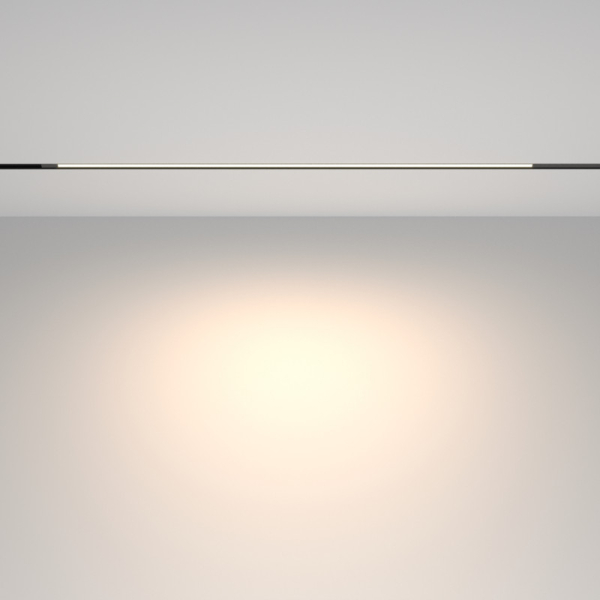 Светильник на шине Maytoni Technical TR231-2-15W4K-B