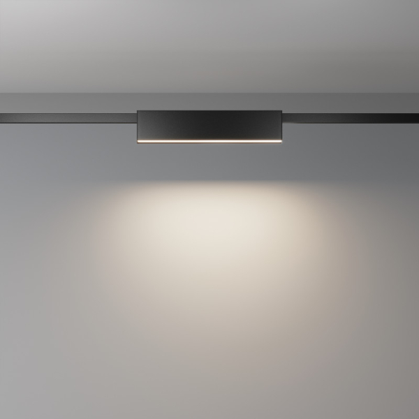 Светильник на шине Maytoni Technical TR151-1-12W4K-B