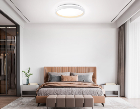 Накладной светильник Ambrella Light FZ607