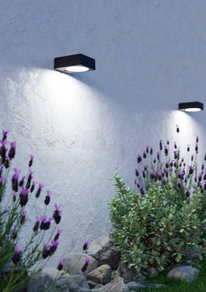 Светильник настенный EGLO 901914