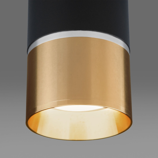 Накладной светильник Elektrostandard DLN106 GU10 черный/золото