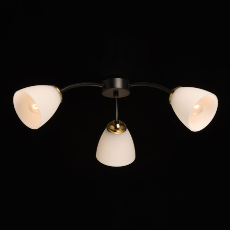 Накладная люстра DeMarkt 676016903