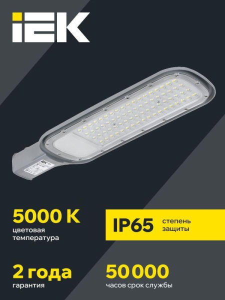 Светильник светодиодный ДКУ 1012-100Ш 5000К IP65 уличный консольный сер. IEK LDKU1-1012-100-5000-K03