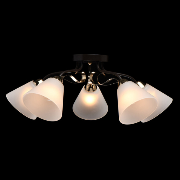 Накладная люстра DeMarkt 676014605