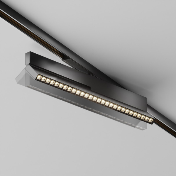 Светильник на шине Maytoni Technical TR242-2-12W4K-B