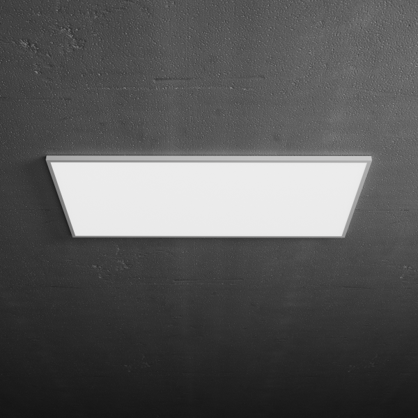 ЛПО 1200x600x20 60Вт 12В 5000К Микропризма