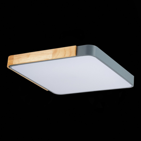 Накладной светильник Evoluce SLE201272-01