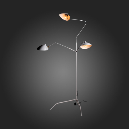 Торшер ST-Luce SL305.505.03