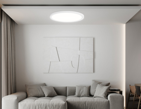 Накладной светильник Ambrella Light FZ1909