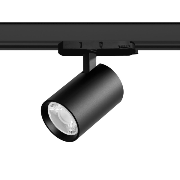 Светильник на шине Lightstar A5237QT15G