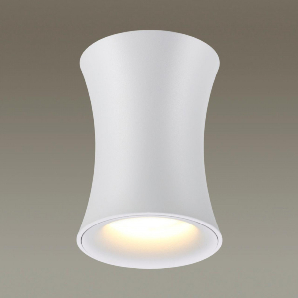 Влагозащищенный светильник Odeon Light 4271/1C